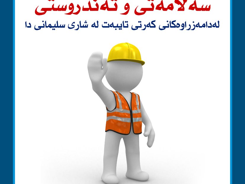 safety and health in private sector - kurdistan - sulaymaniyah 2013